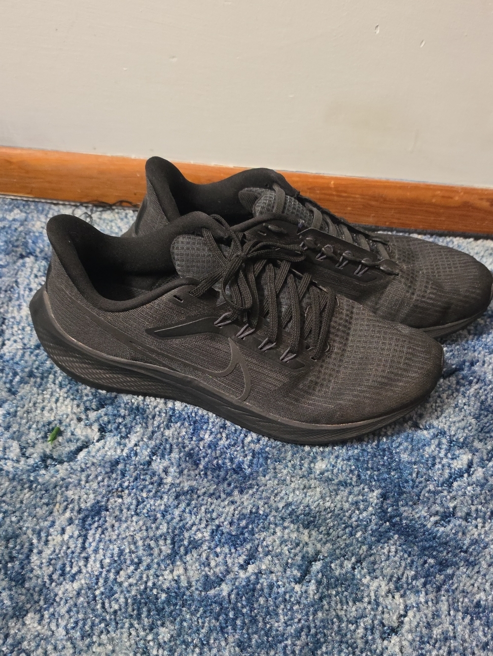 Nike Air Zoom Pegasus 39 Men’s All-Black Athletic Running Shoes